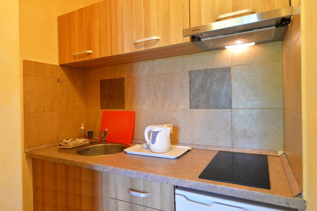 Zemyna Apartmentai Druskieniki Zewnętrze zdjęcie